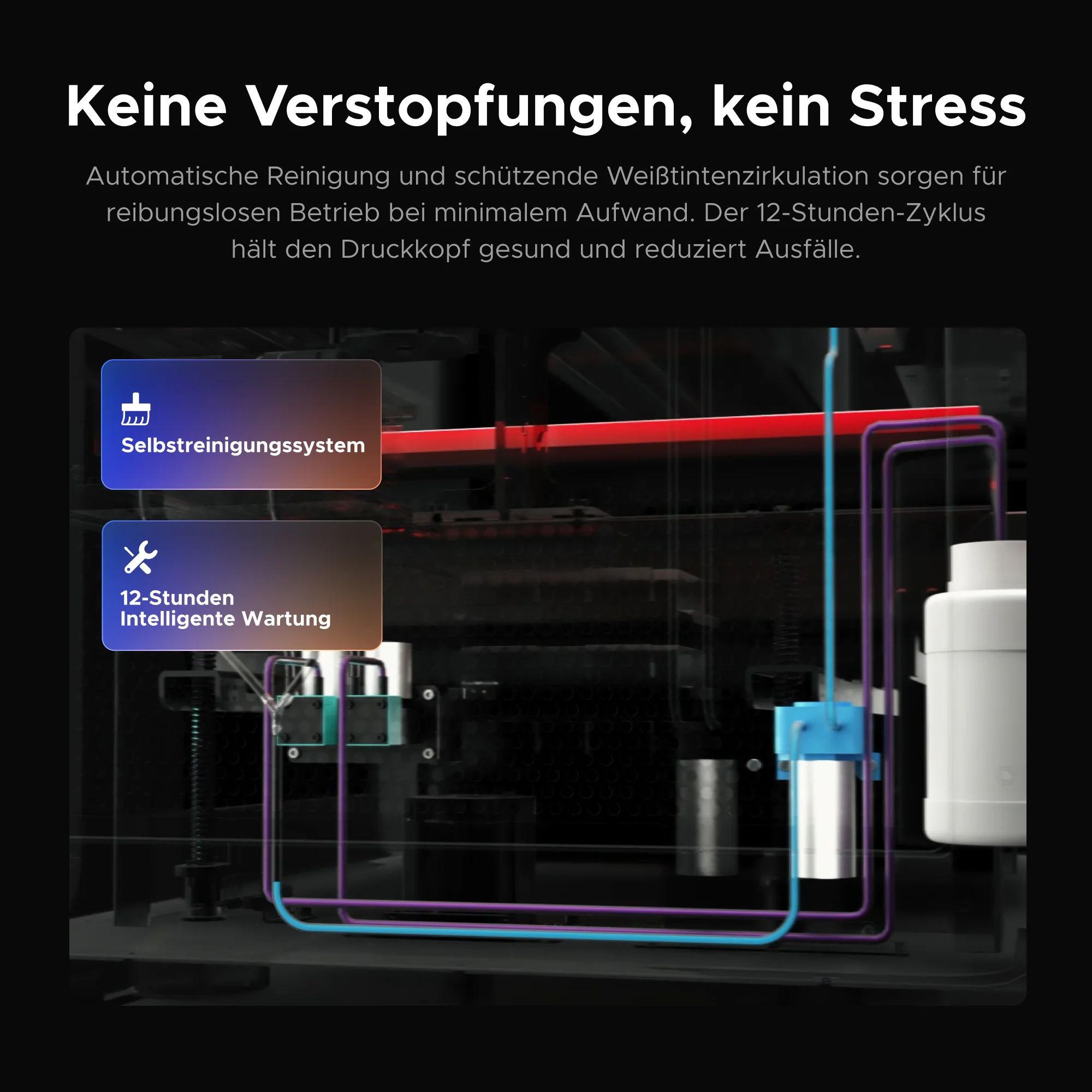 Vorschaubild 7